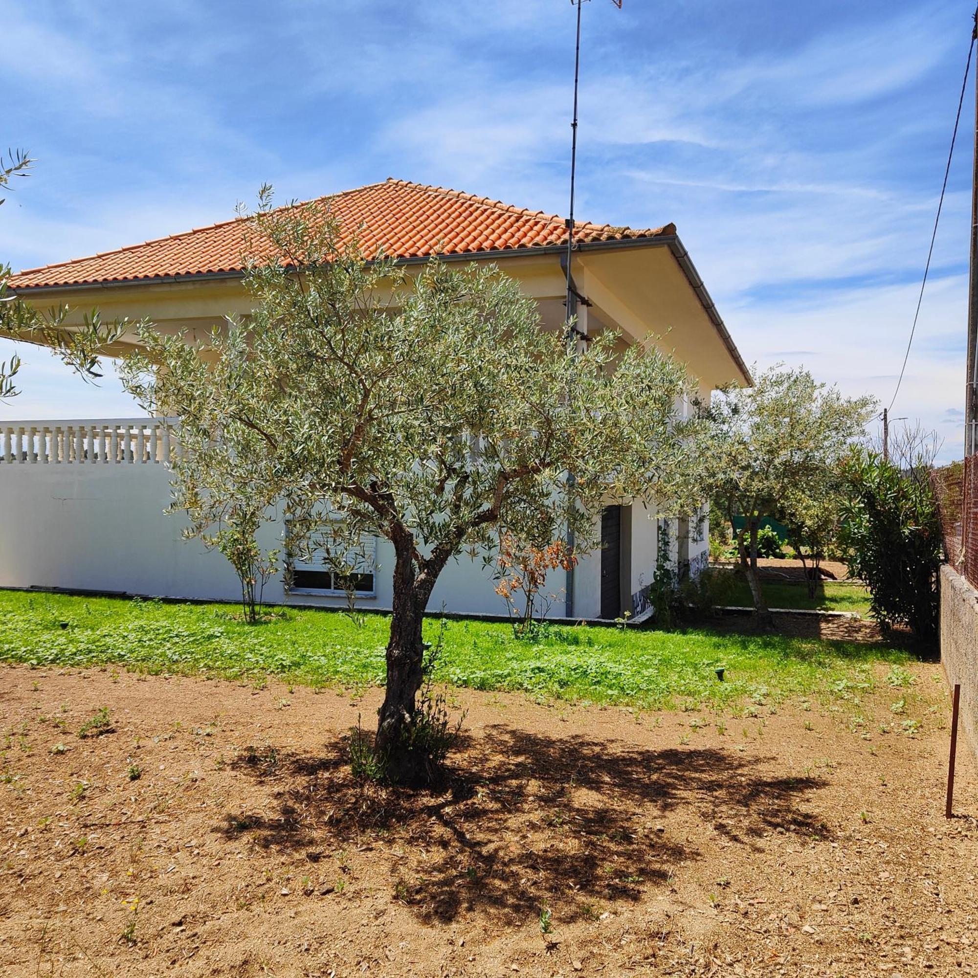 Villa Mendes Oliva Almeida Buitenkant foto